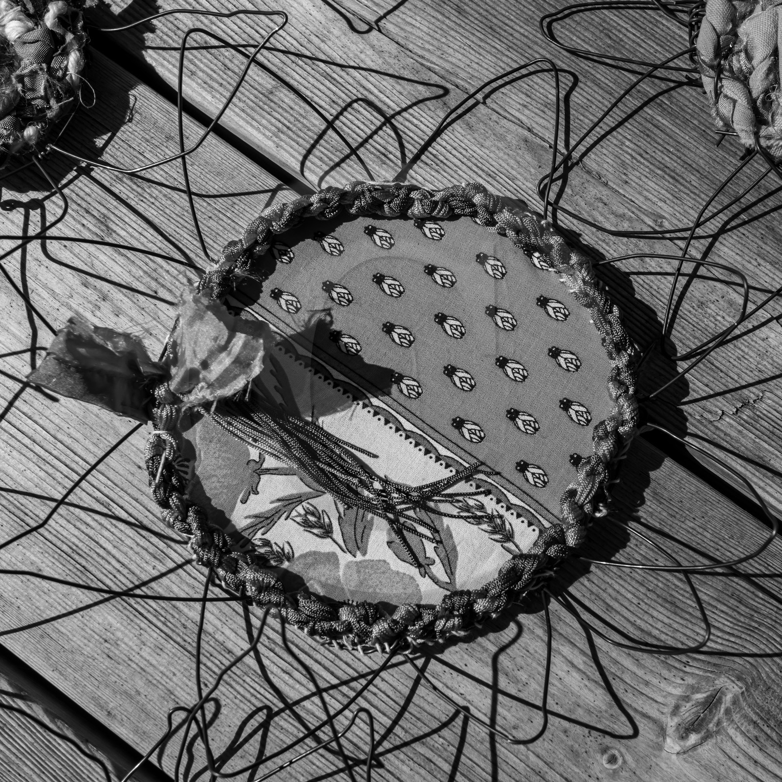 Activités au jardin