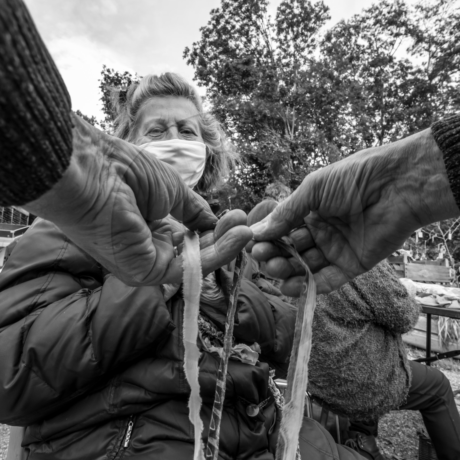 Fabrication de tournesols