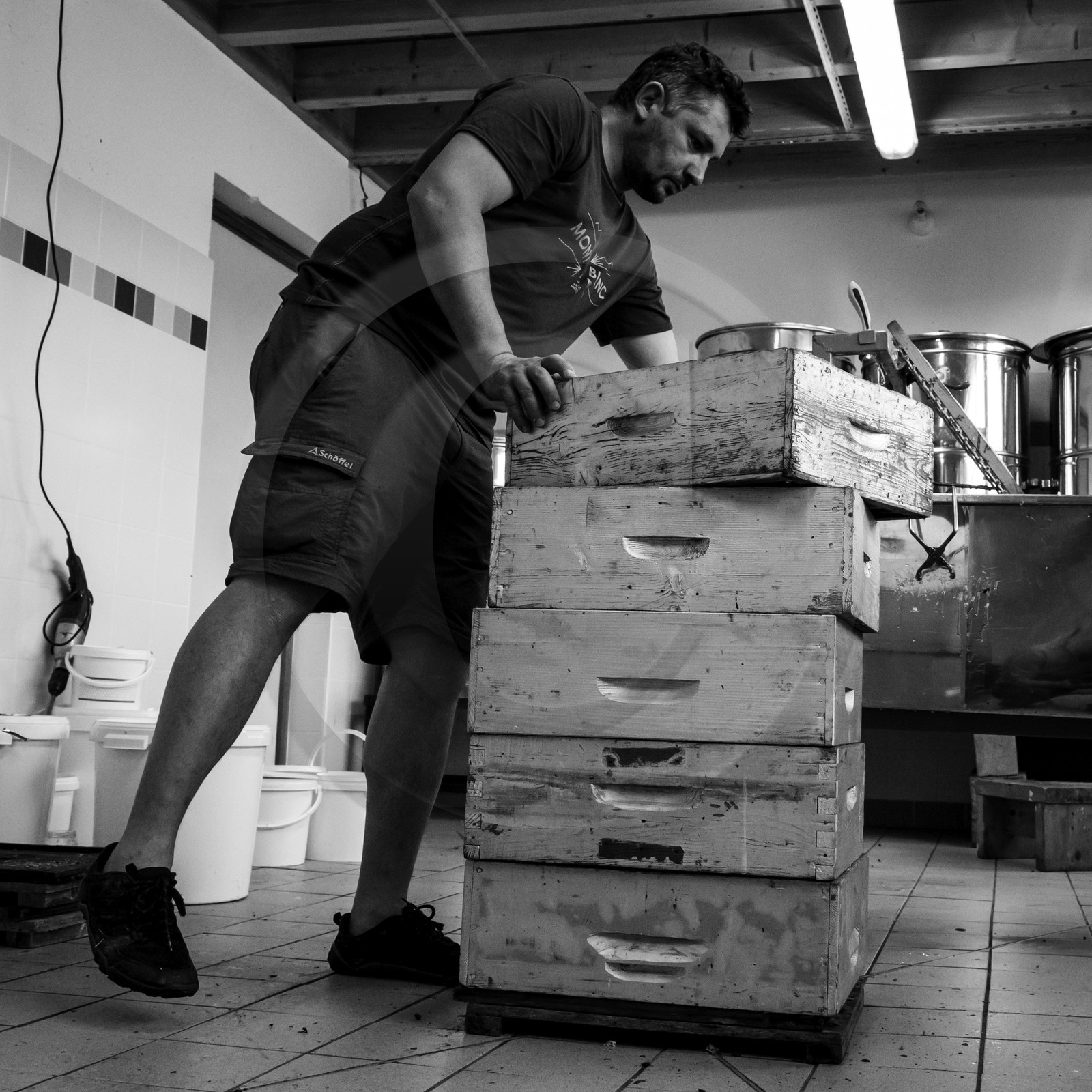 L'extraction du miel