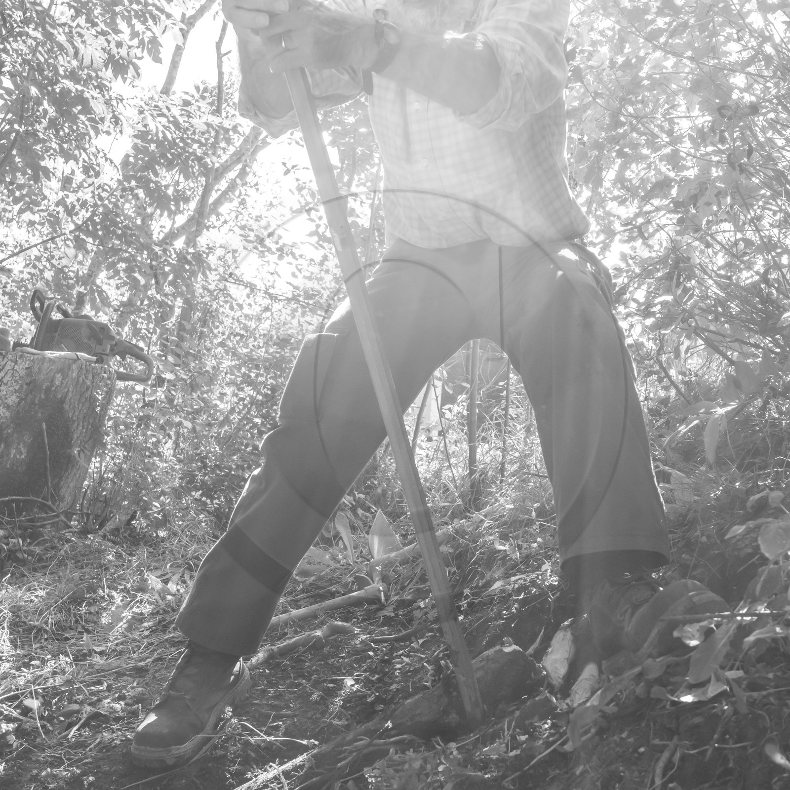 Activités au jardin