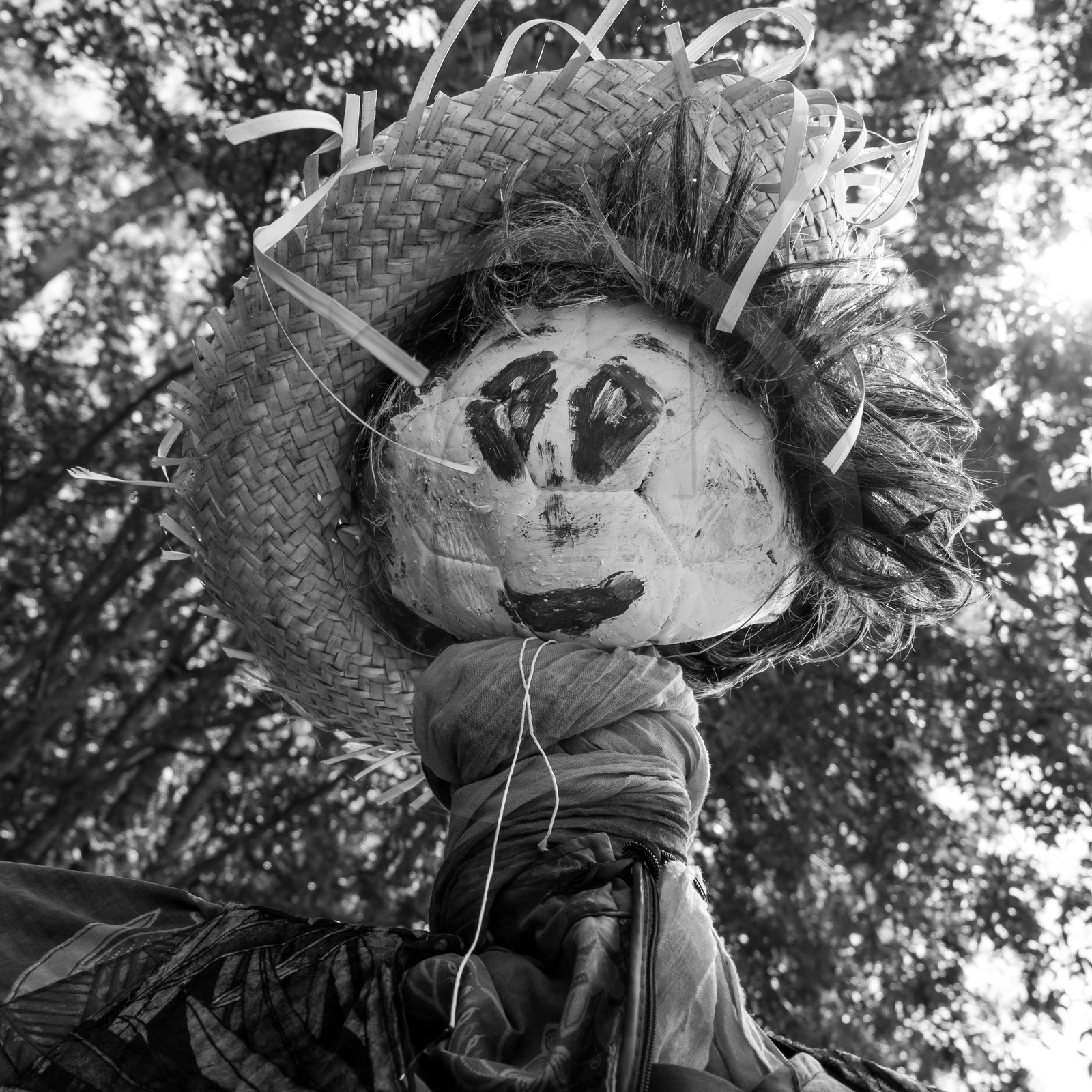 23 août 2017 - Animations