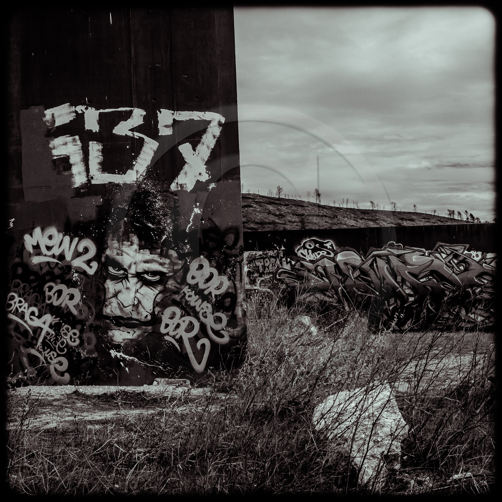 Le Stadium - Vitrolles (13)