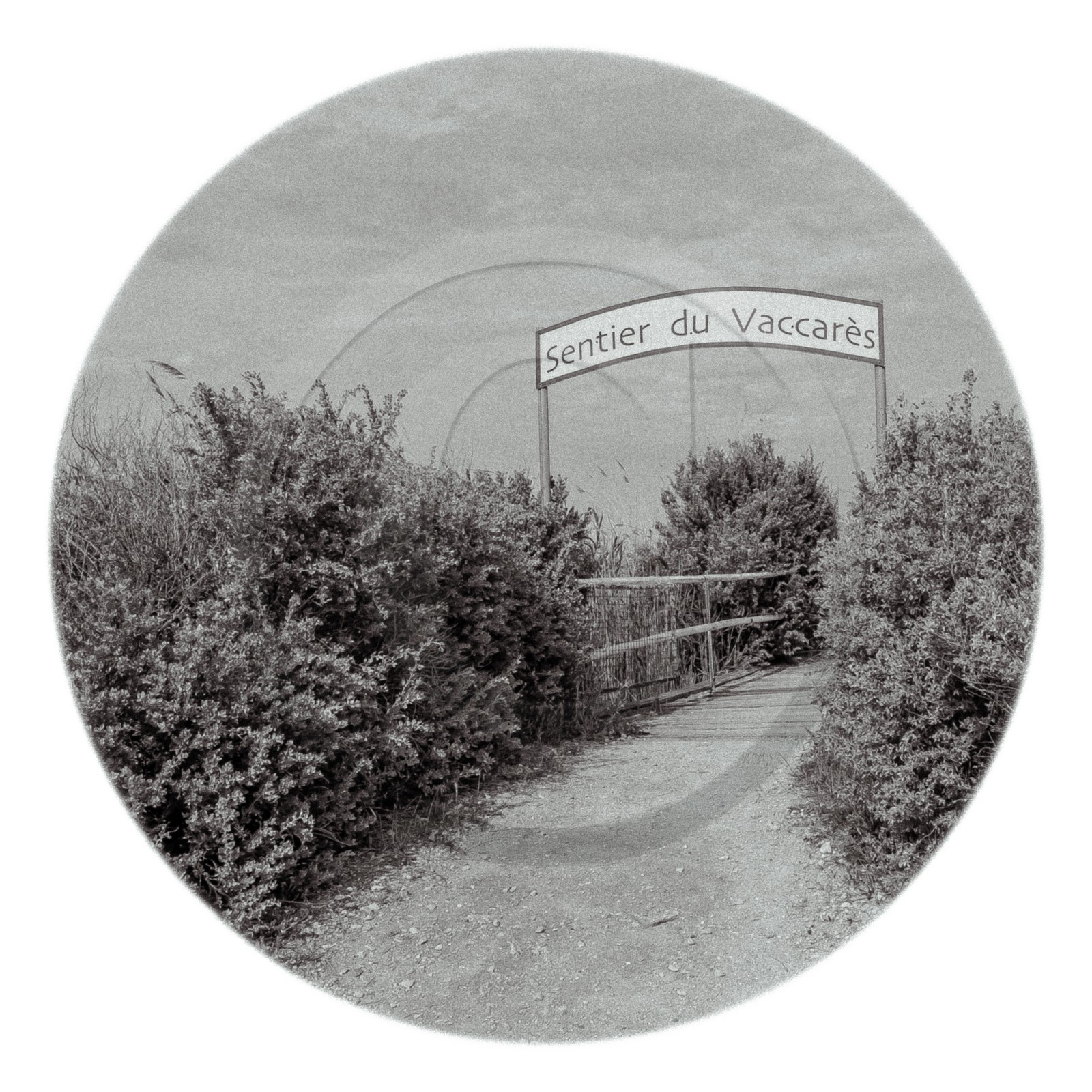 Les instants Camargue