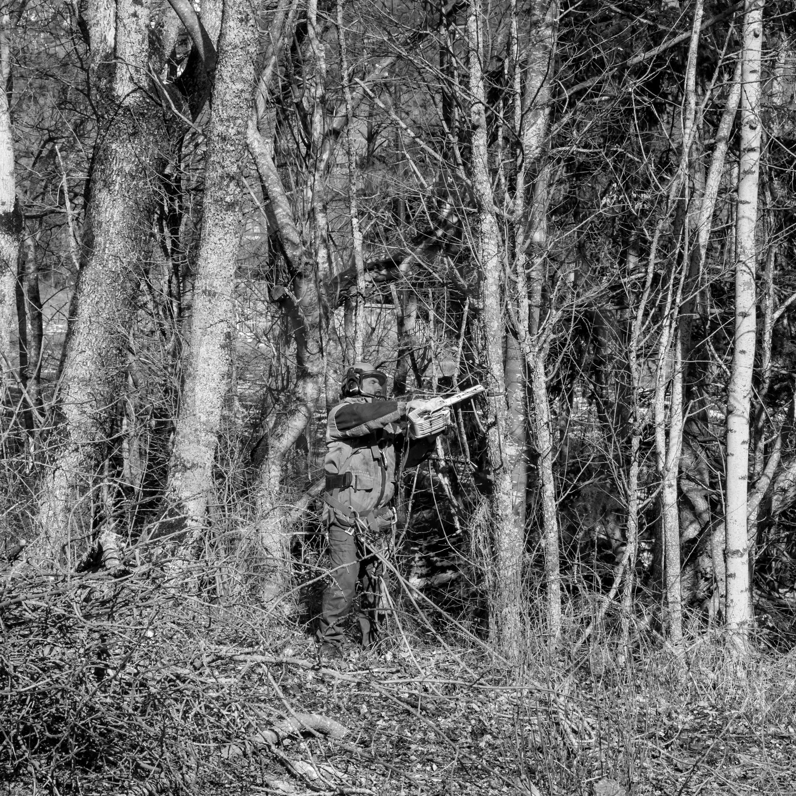 L'Ouort de Bénévent - 08 mars 2017