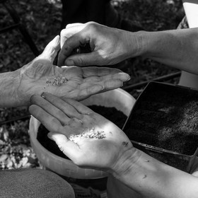 23 août 2017 - Animations