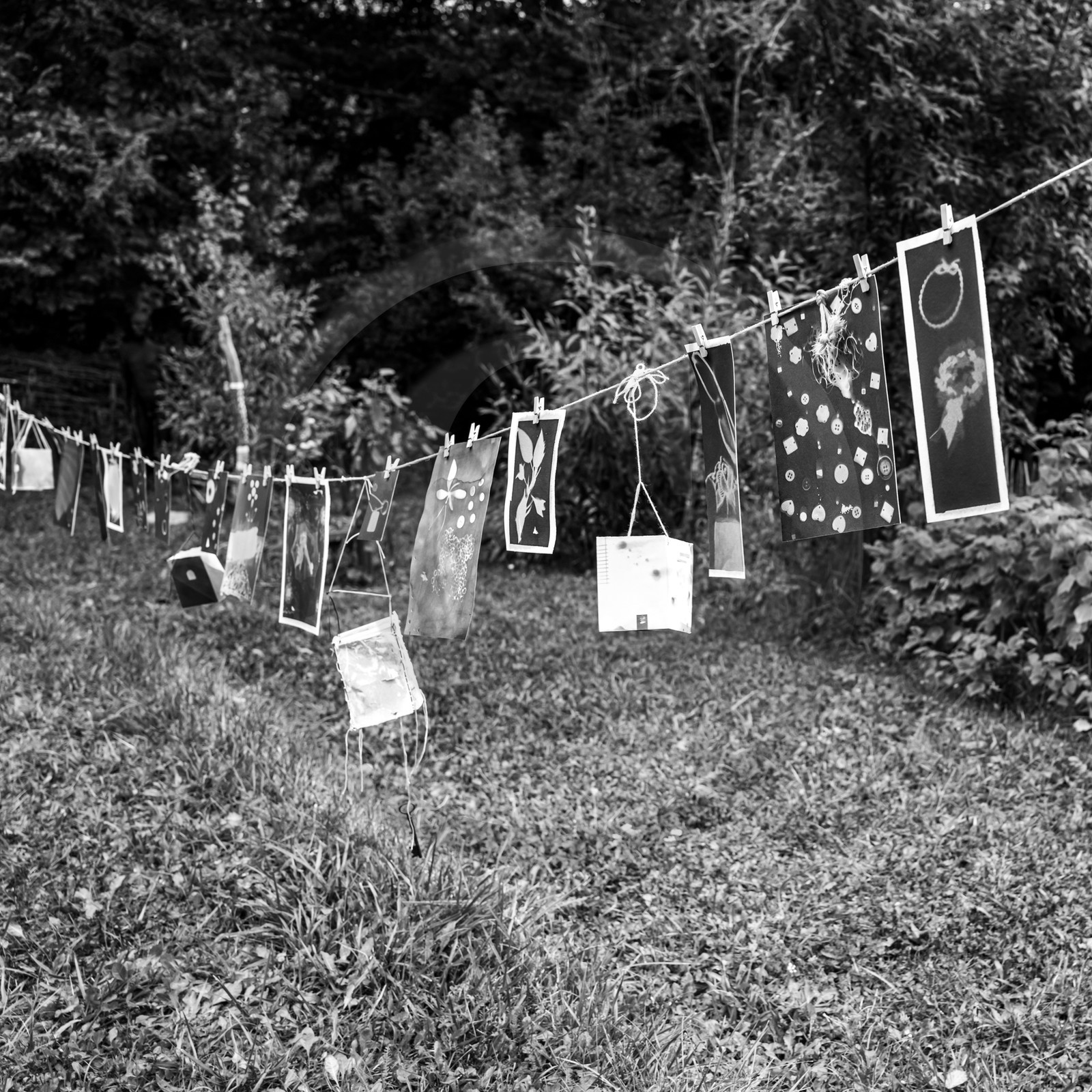 Présentation des réalisation de la saison à l'occasion de la semaine nationale des aidants - Avec la participation de Territoires Aidants