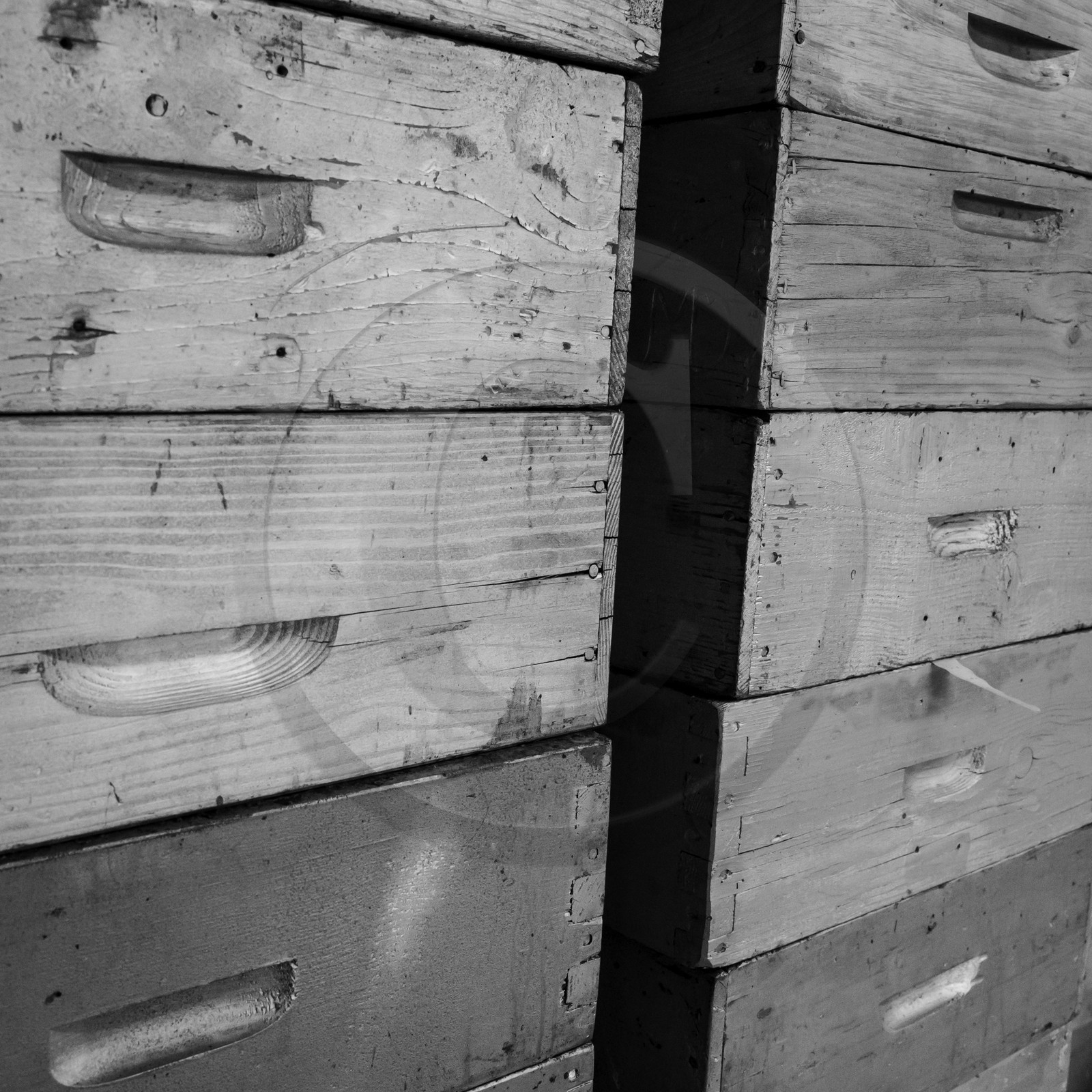 L'extraction du miel