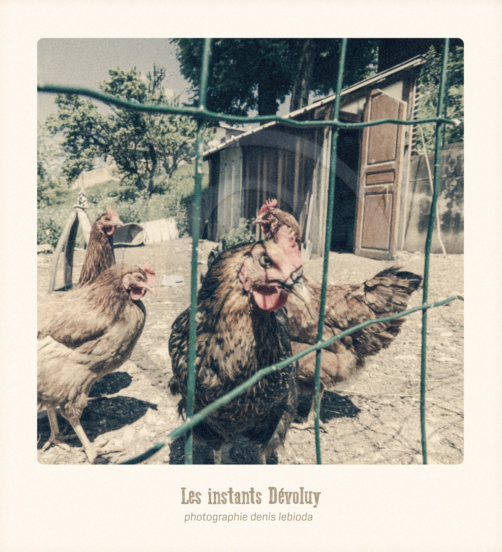 Les Instants Dévoluy