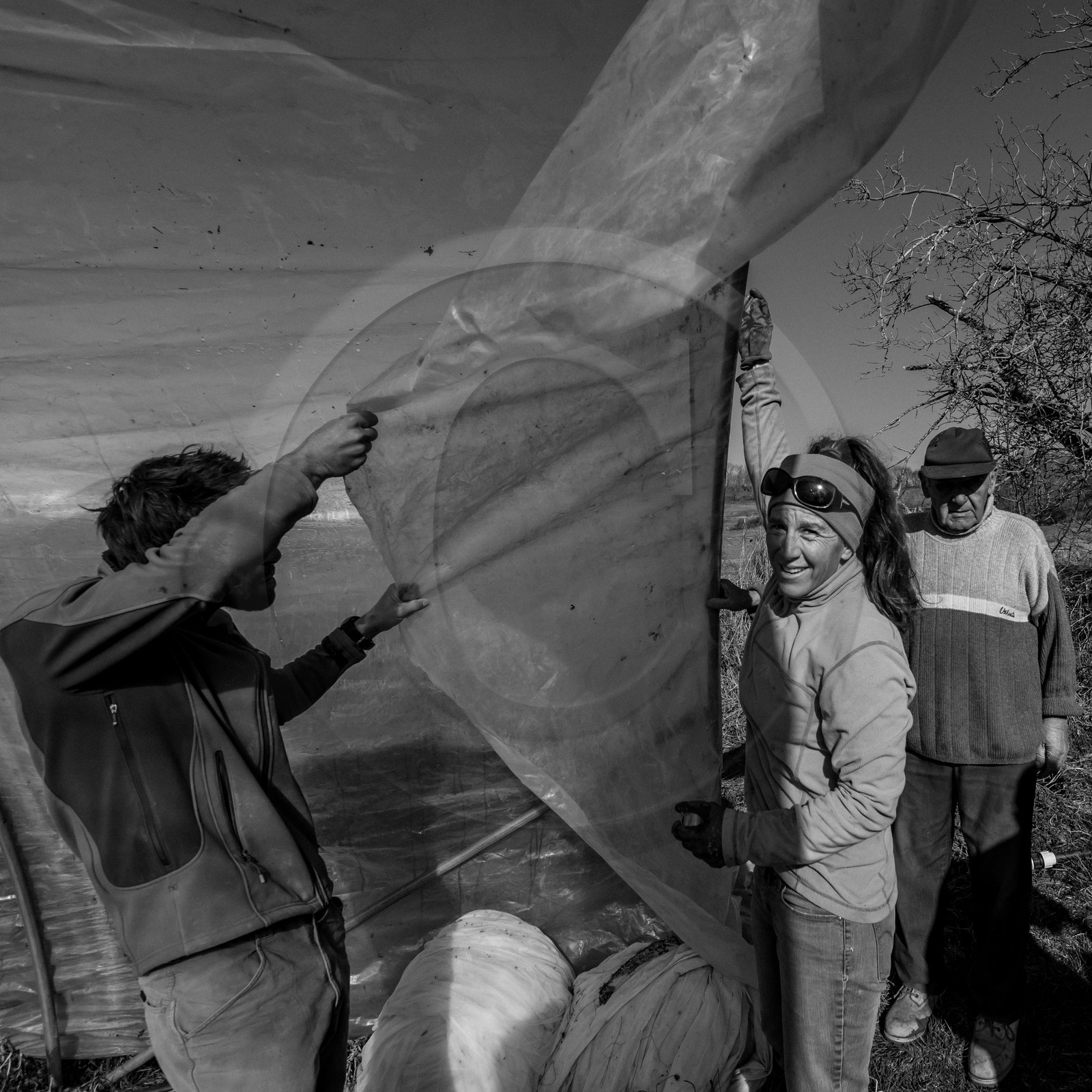 Montage de serres tunnel