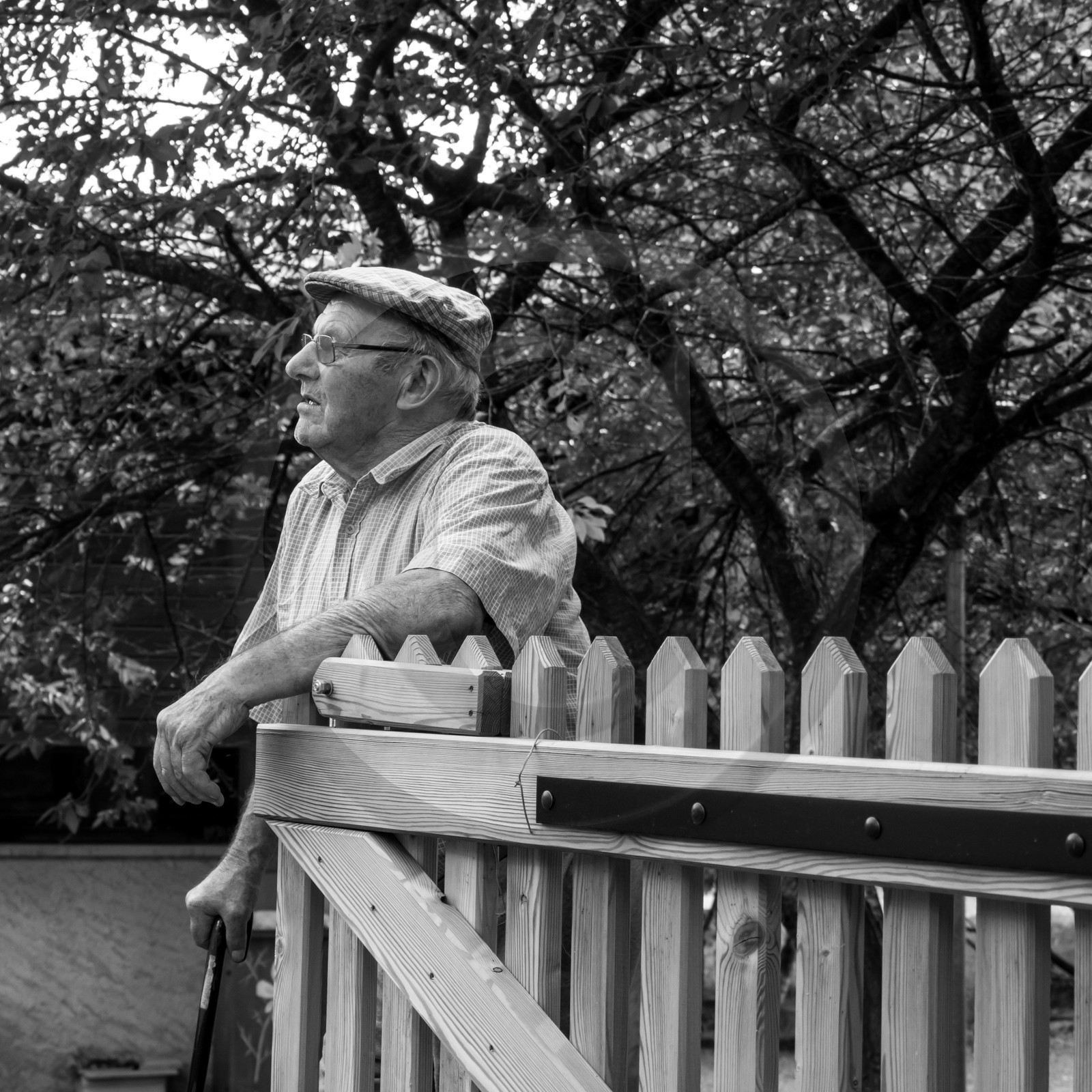 23 août 2017 - Animations