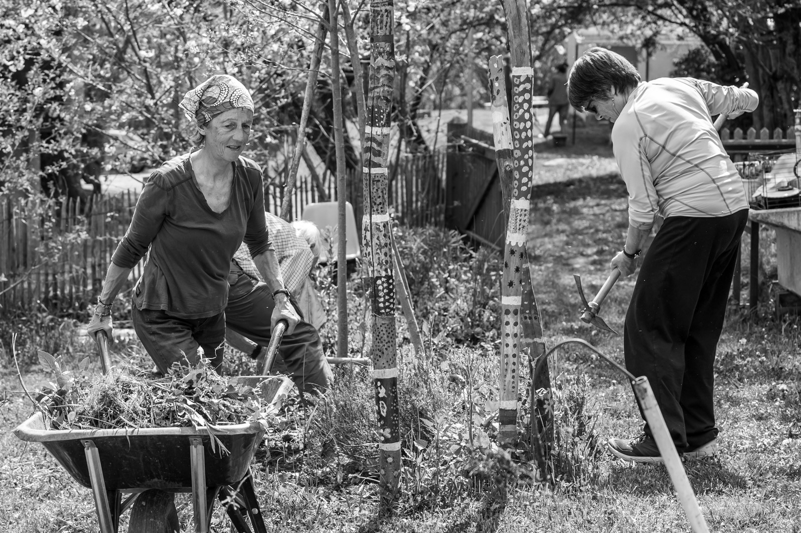 30 avril 2025 : Un oiseau en osier