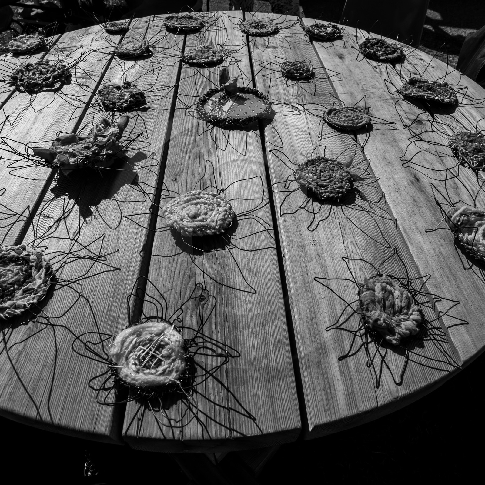 Activités au jardin