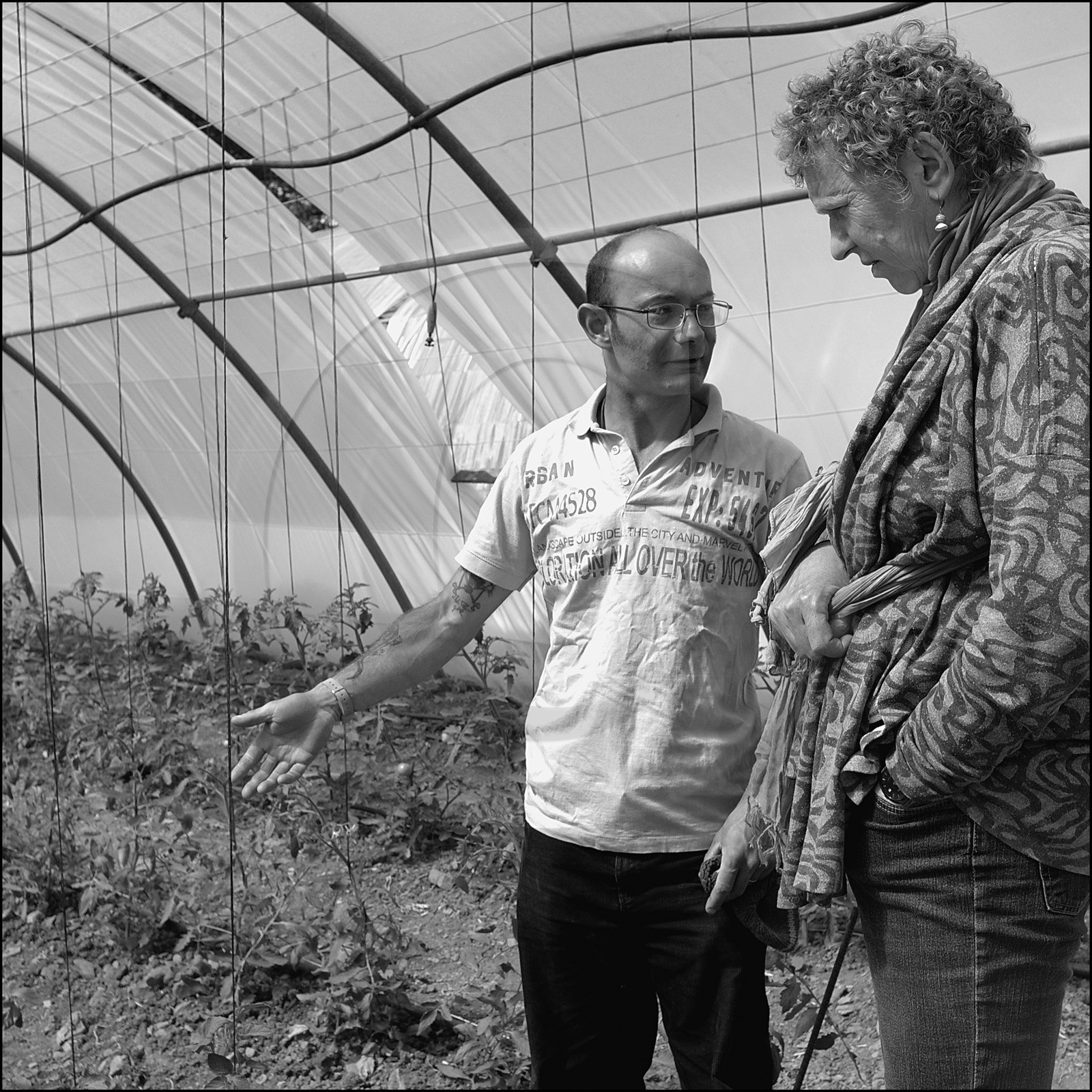 Visite d'une exploitation maraichère