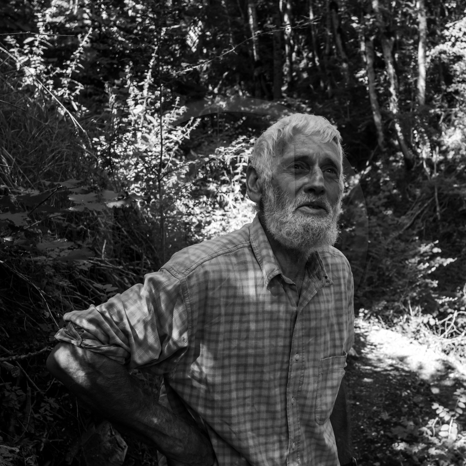 Activités au jardin