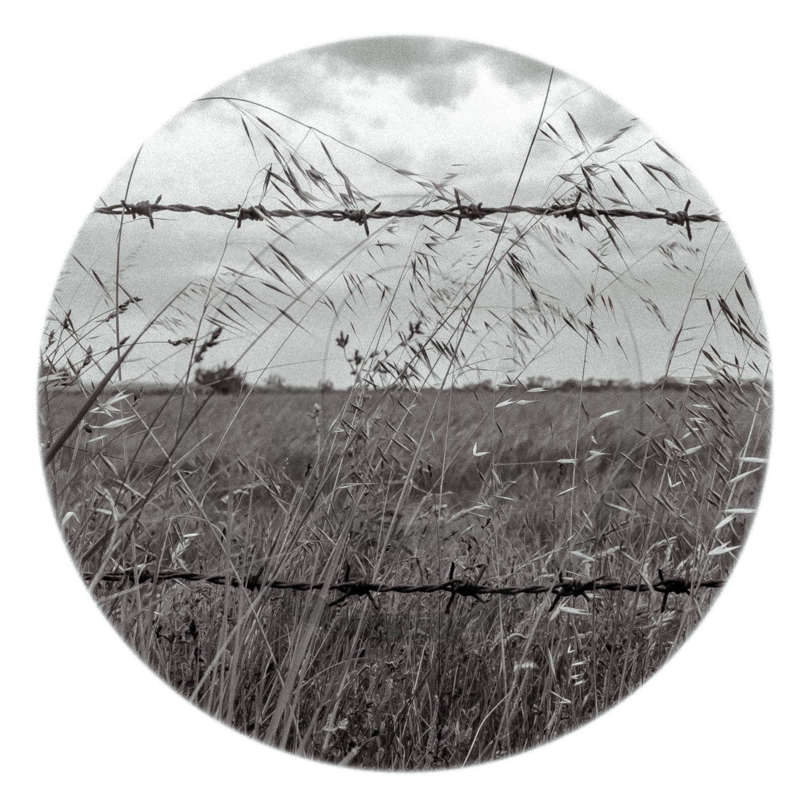 Les instants Camargue