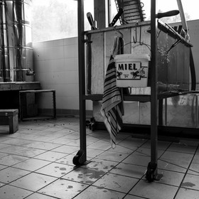 L'extraction du miel