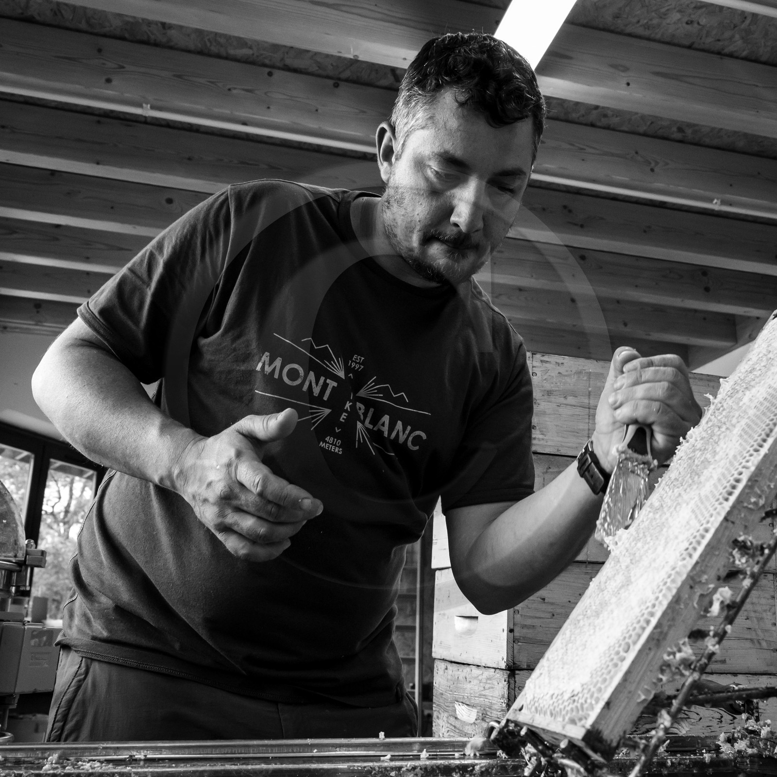 L'extraction du miel