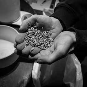 Les Bières du Crépuscule