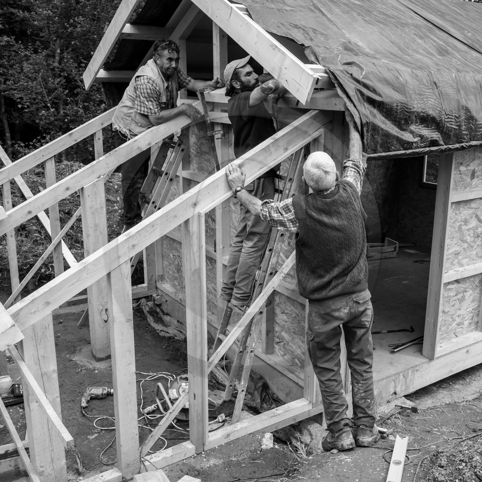 Construction d'une cabane
