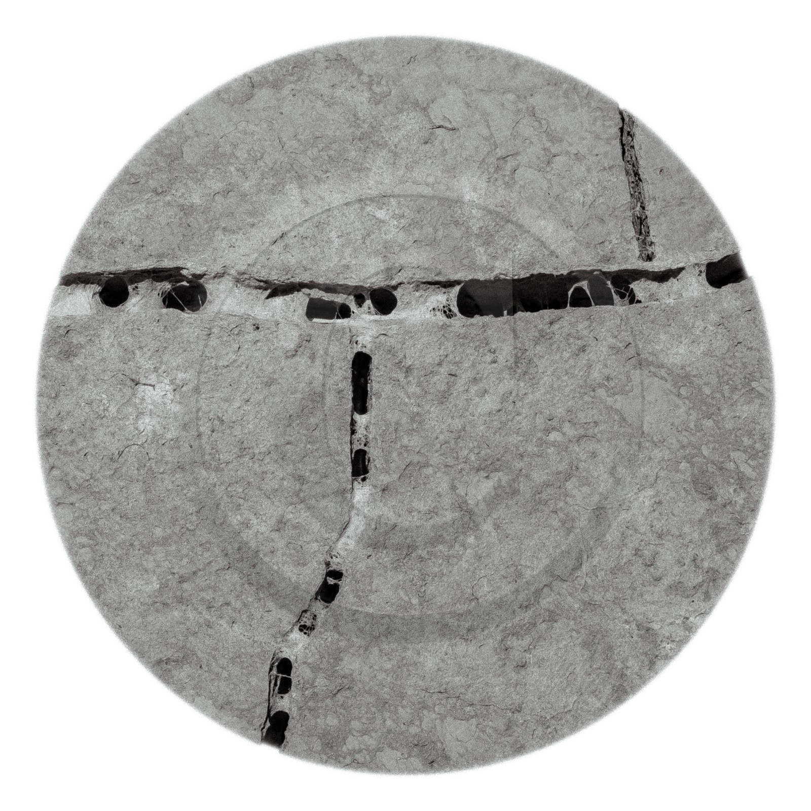 Les instants Camargue