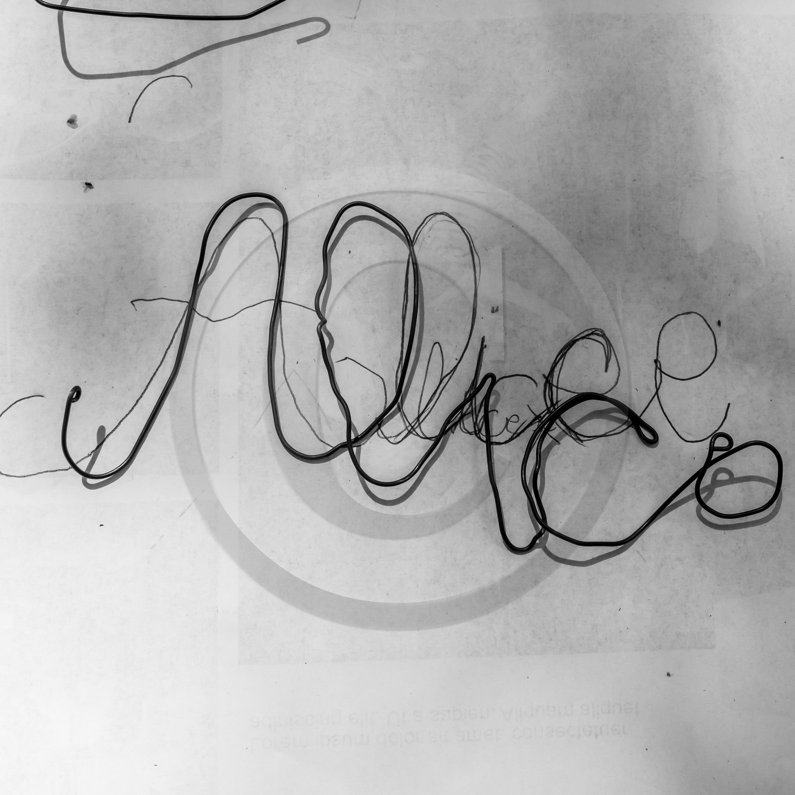 Festival l'Echo des mots