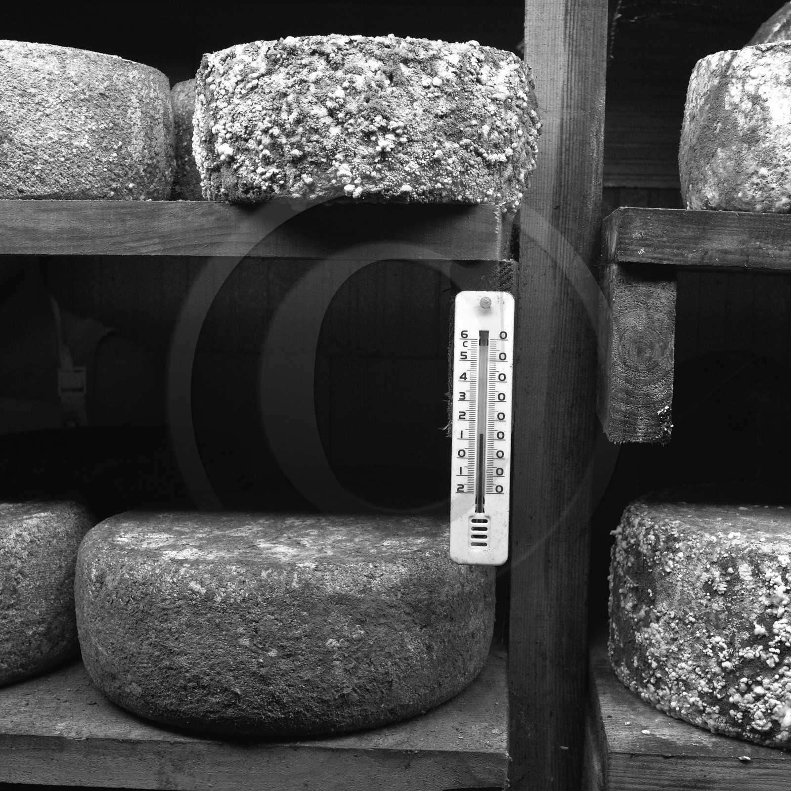 Paul Flambard, fromager