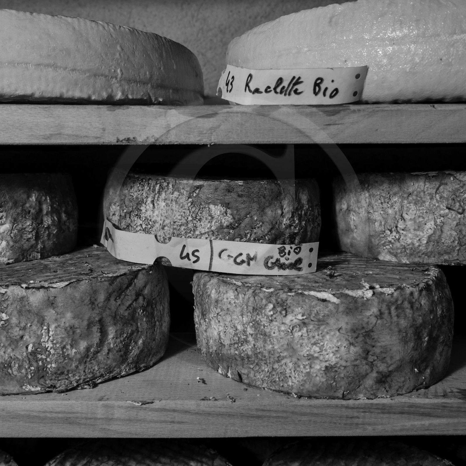 Le GAEC des Counières