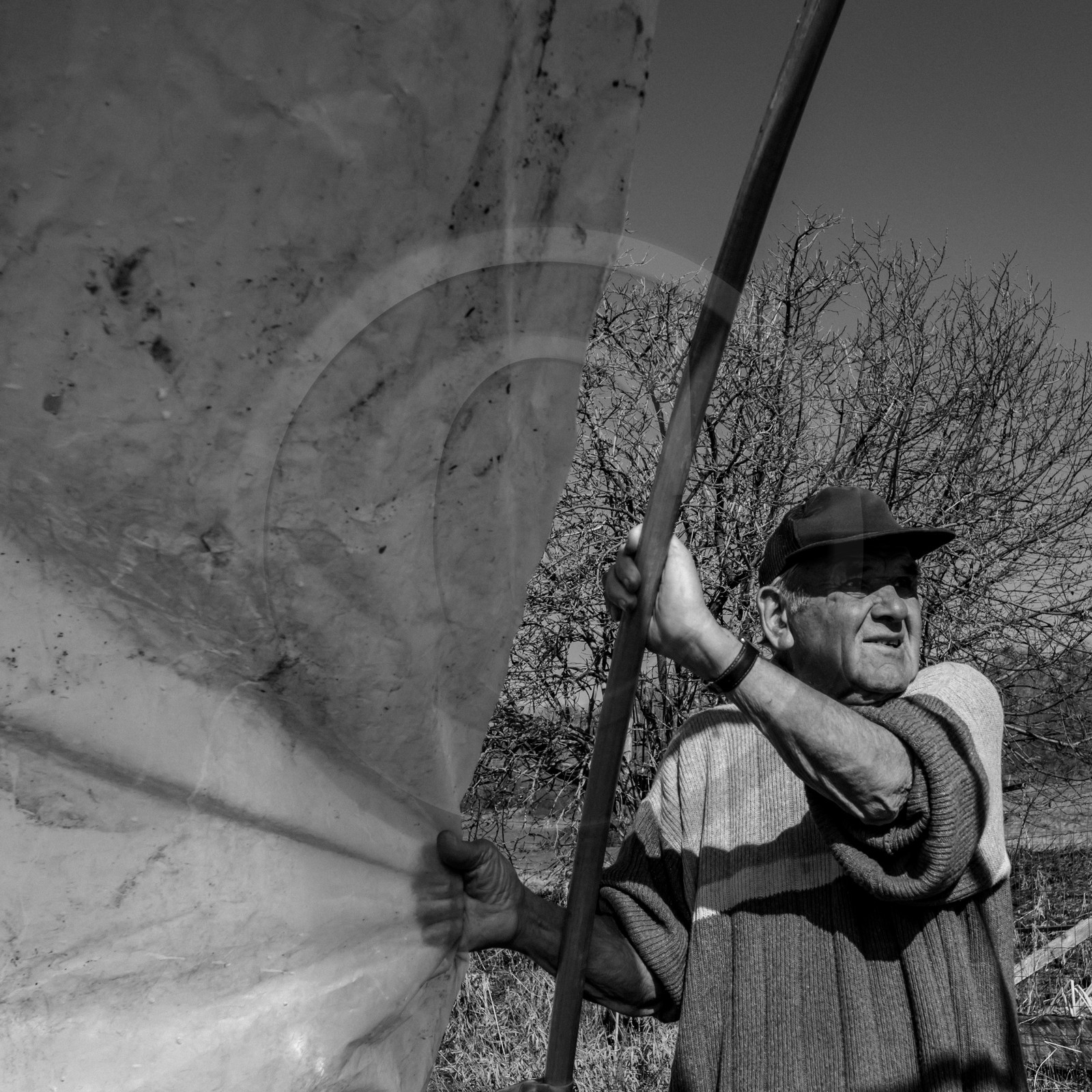 Montage de serres tunnel