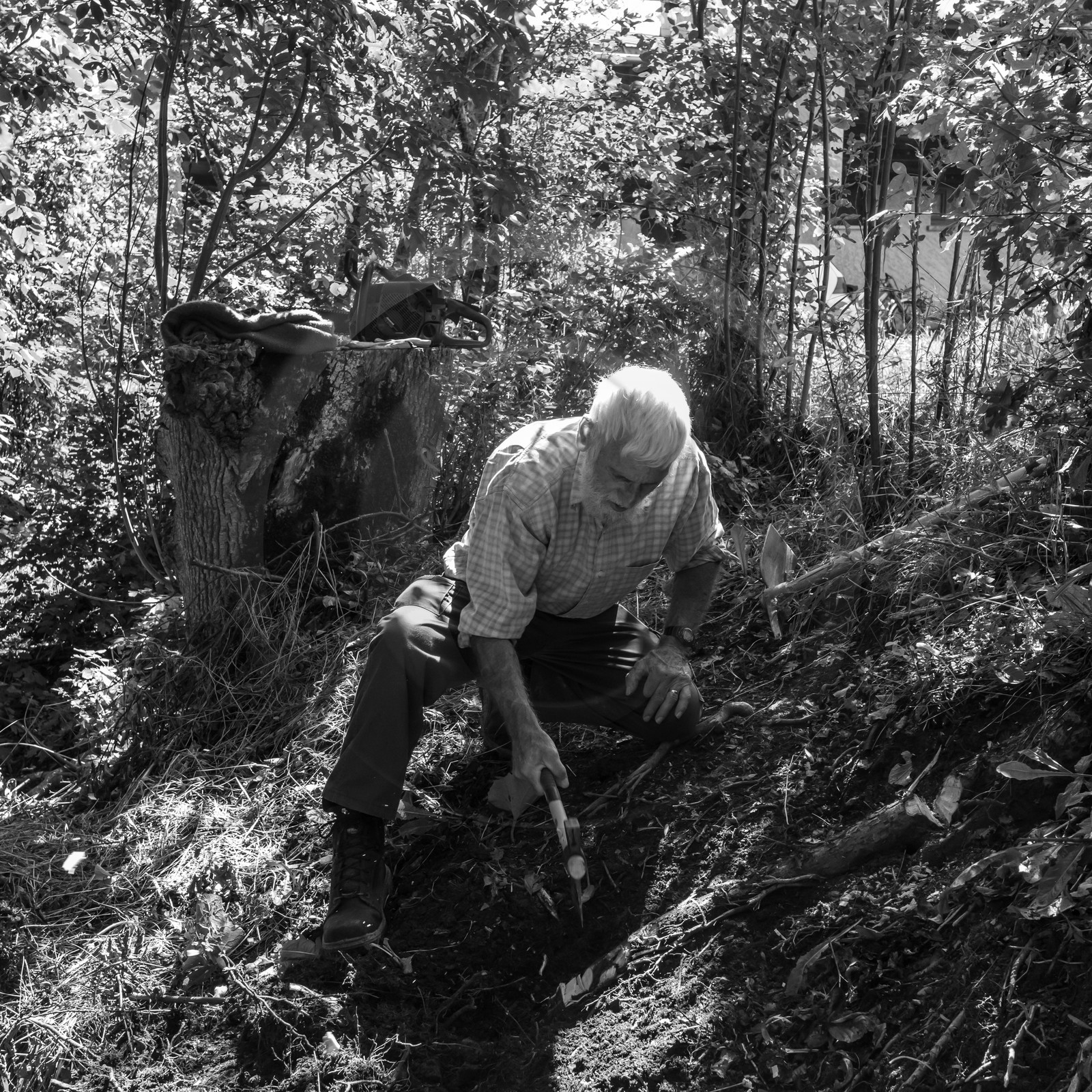 Activités au jardin
