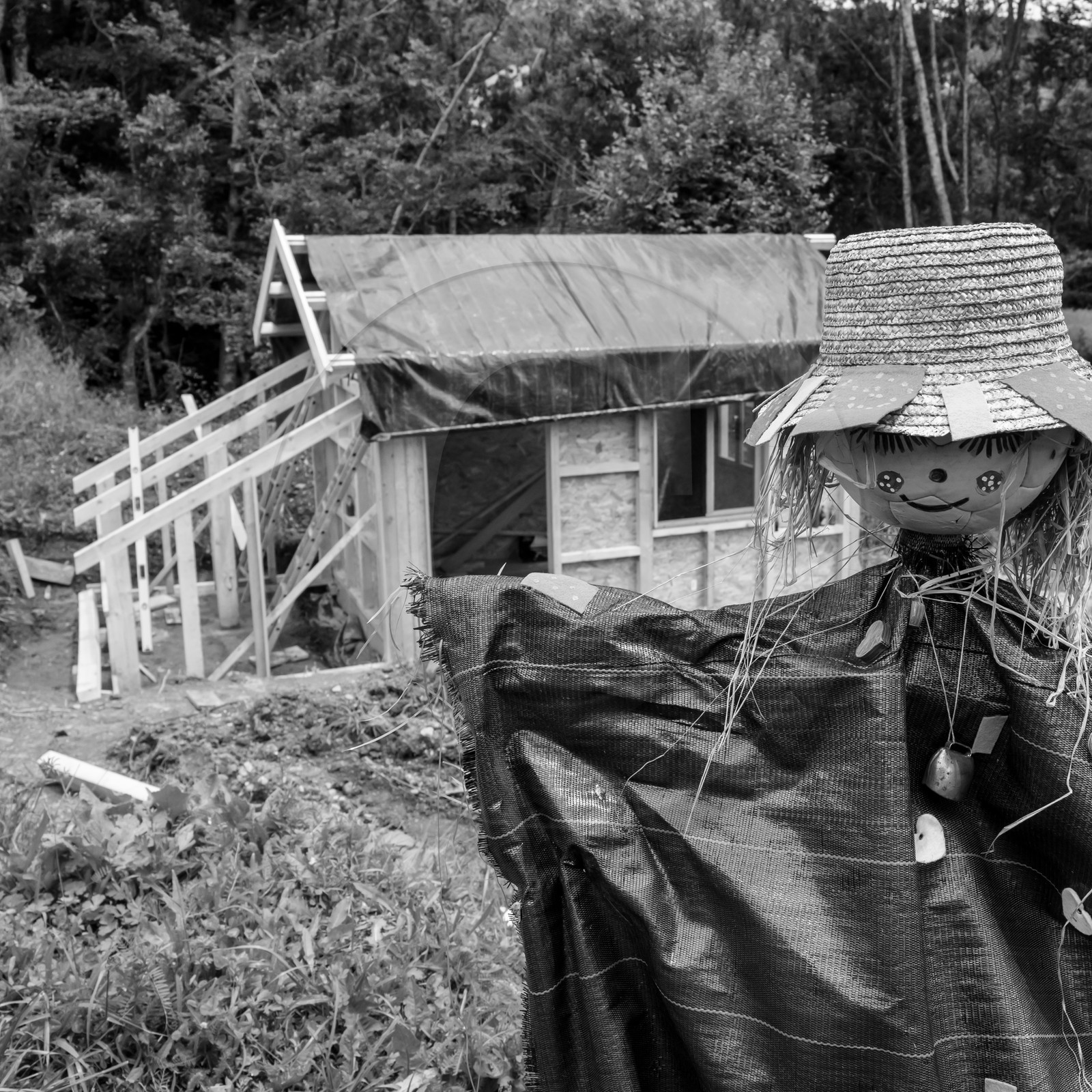 Construction d'une cabane
