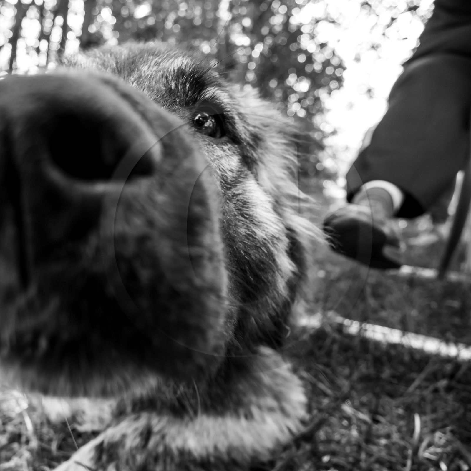 Animations au jardin