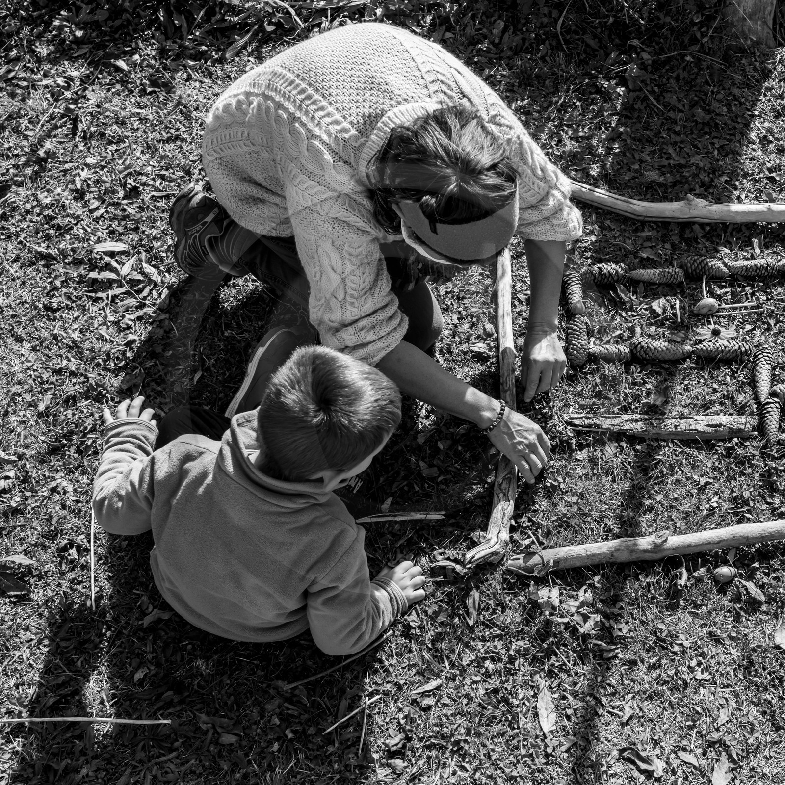 Semis, tournesols et jeux