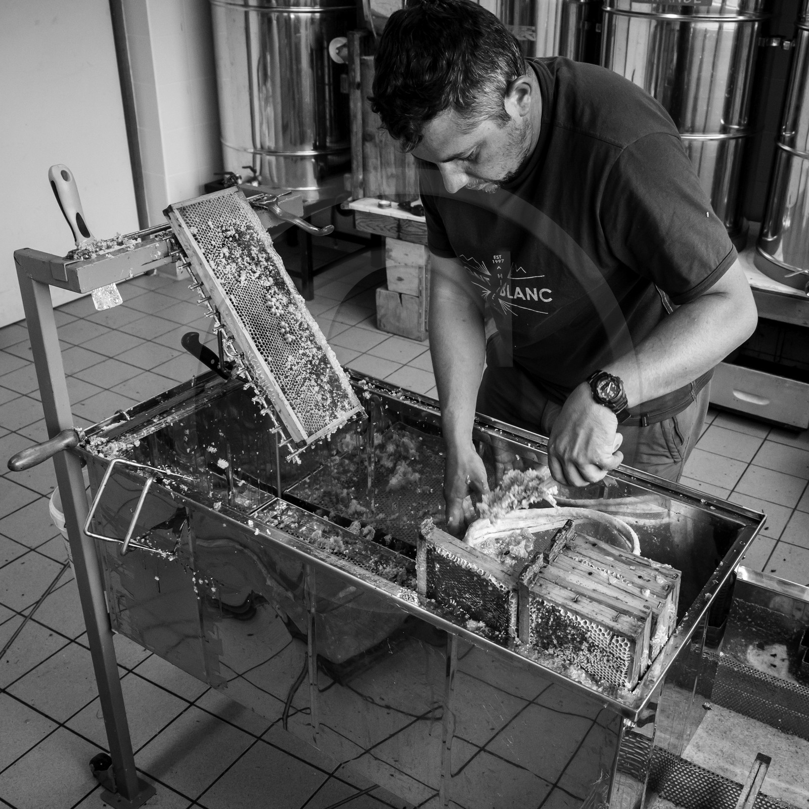 L'extraction du miel