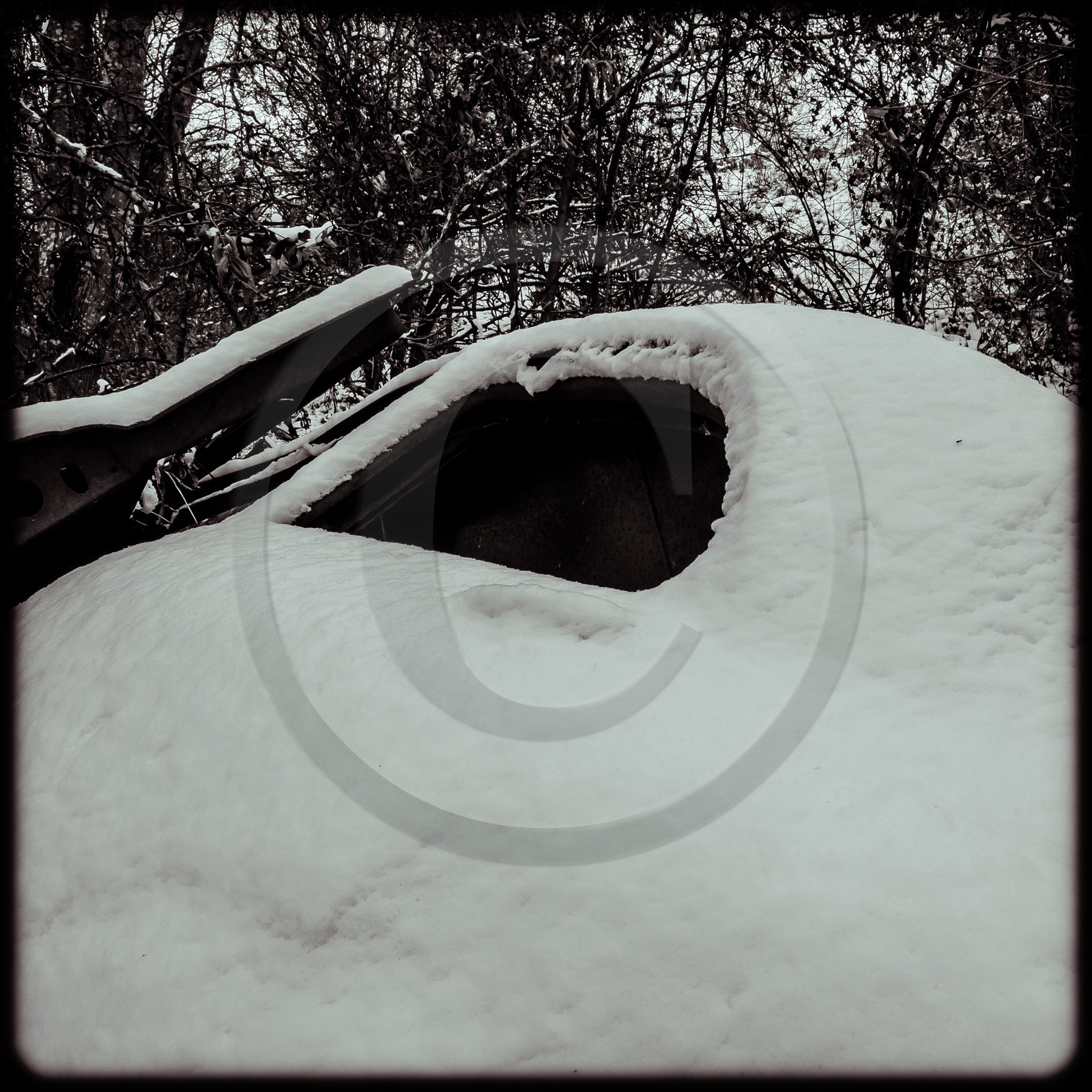 Un cimetière de voitures