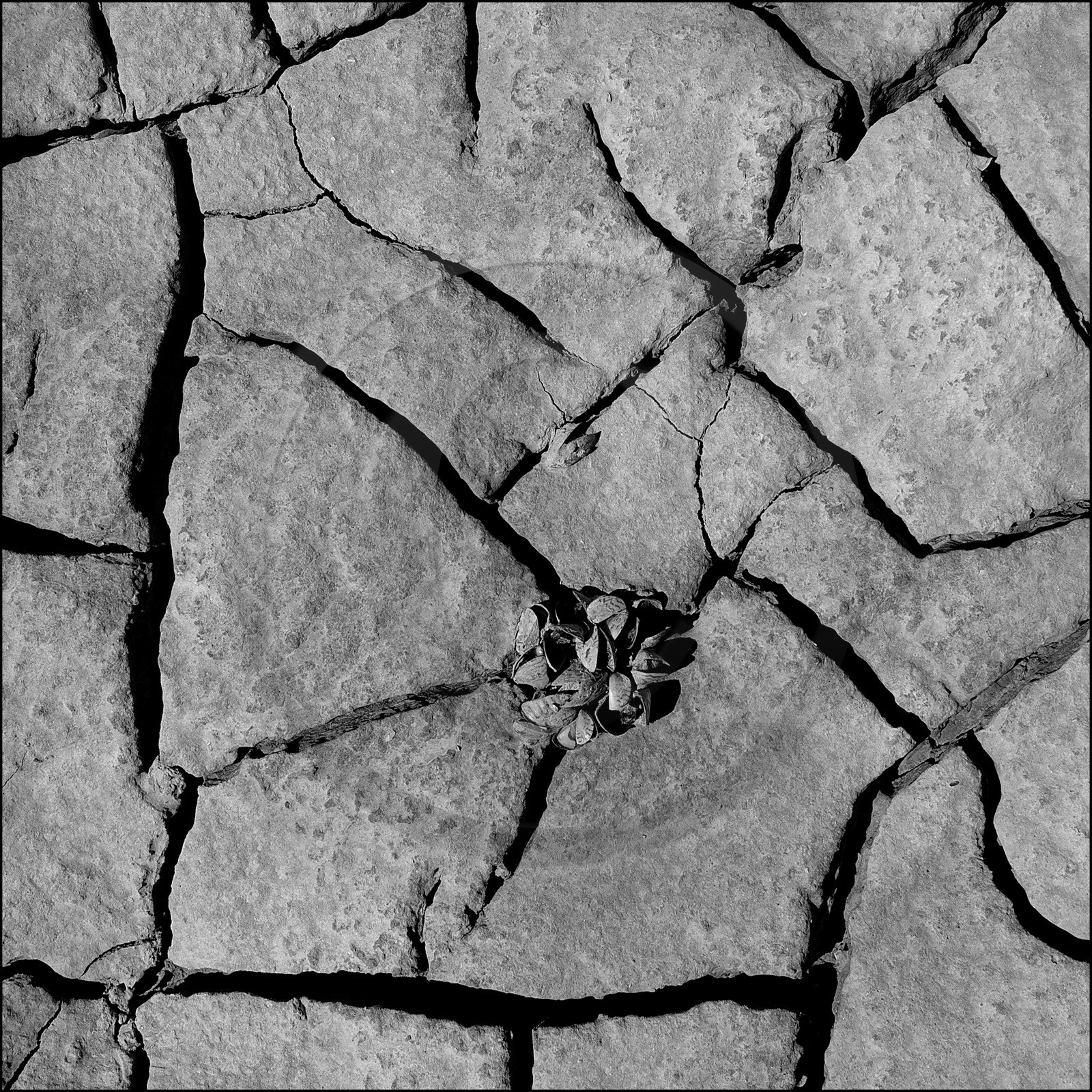 Serre-Ponçon, basses eaux