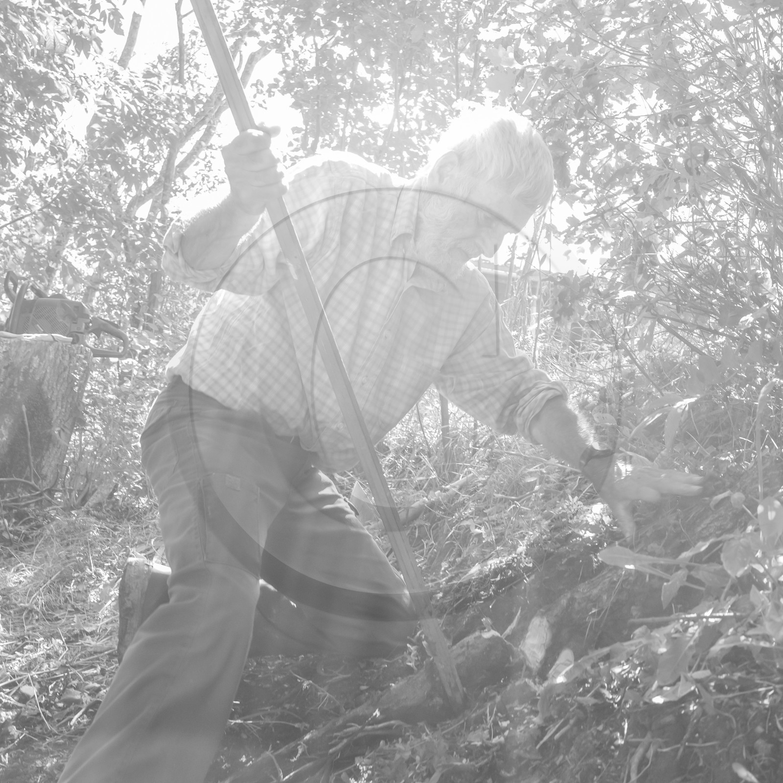 Activités au jardin