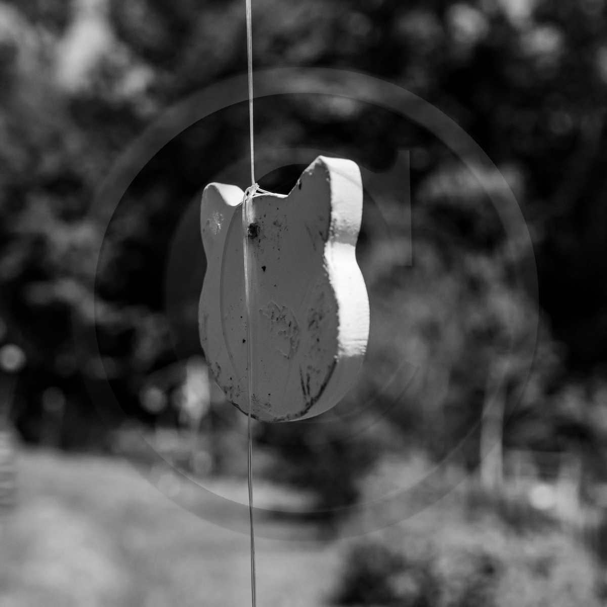 La cantine de Bernie