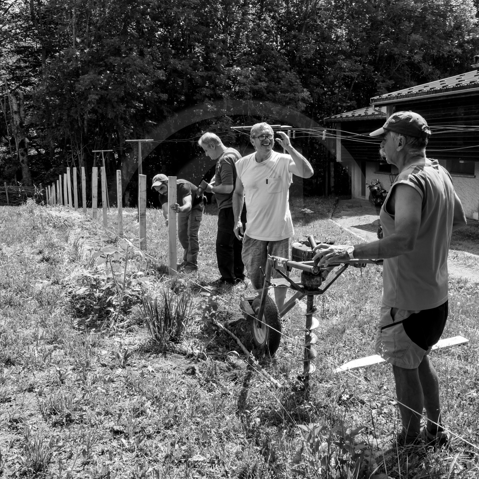 14 juin 2017 - Pose de la clôture