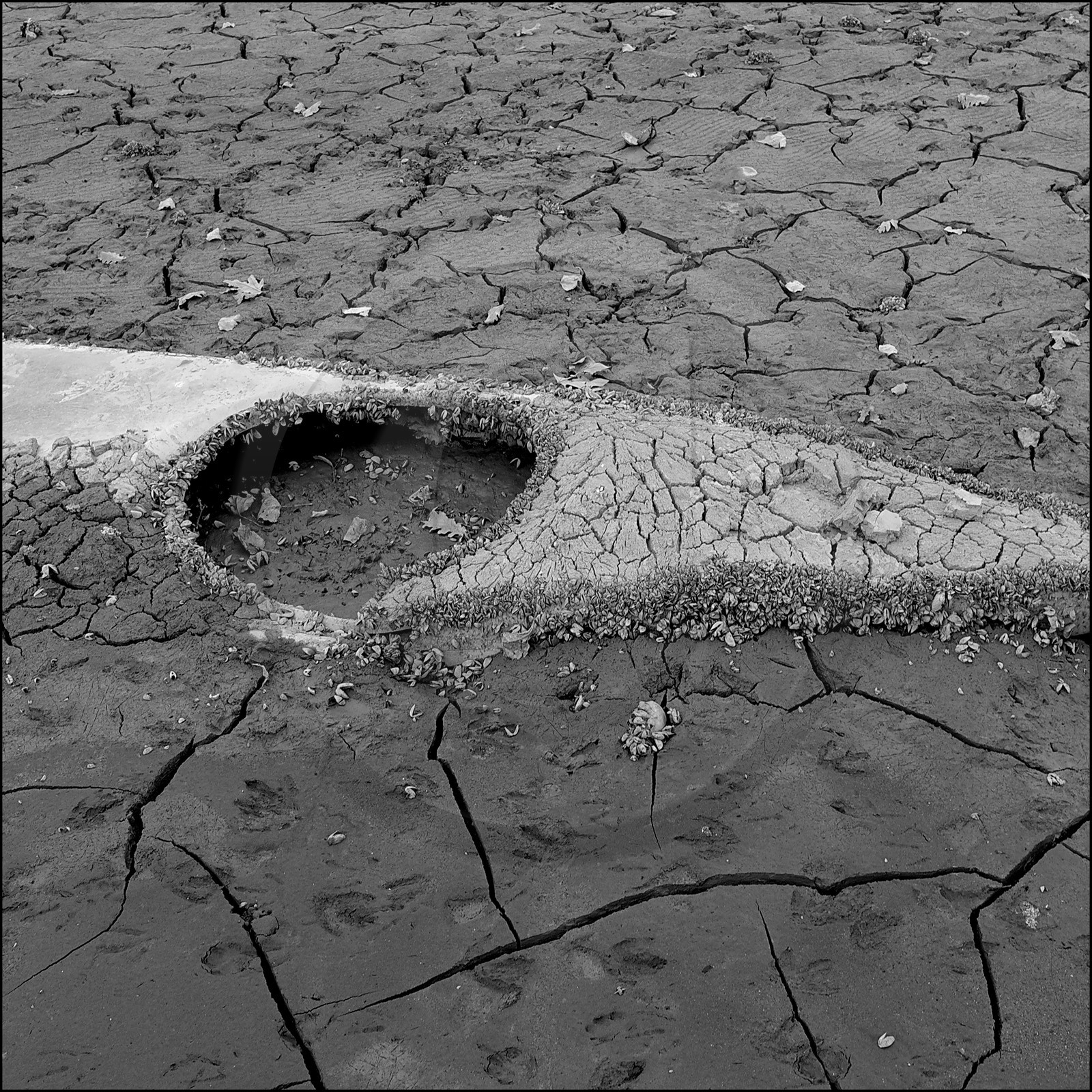 Serre-Ponçon, basses eaux