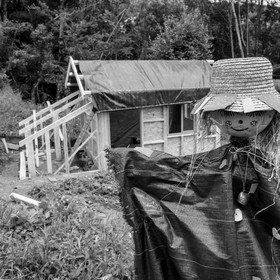 Construction d'une cabane
