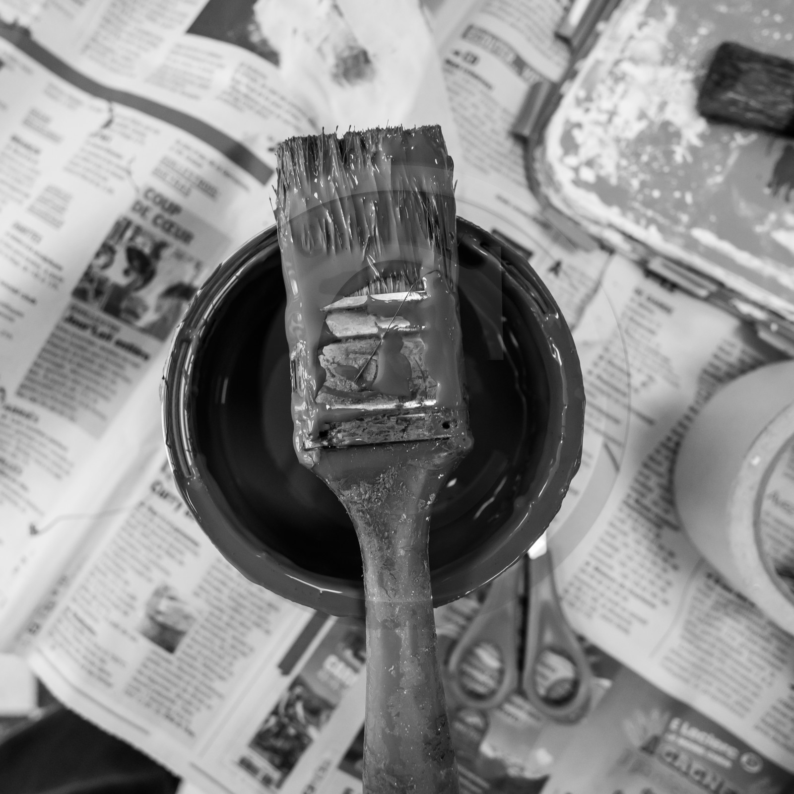 Animations au jardin