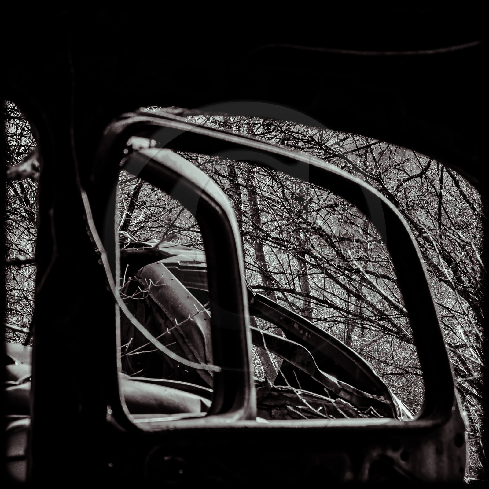 Un cimetière de voitures