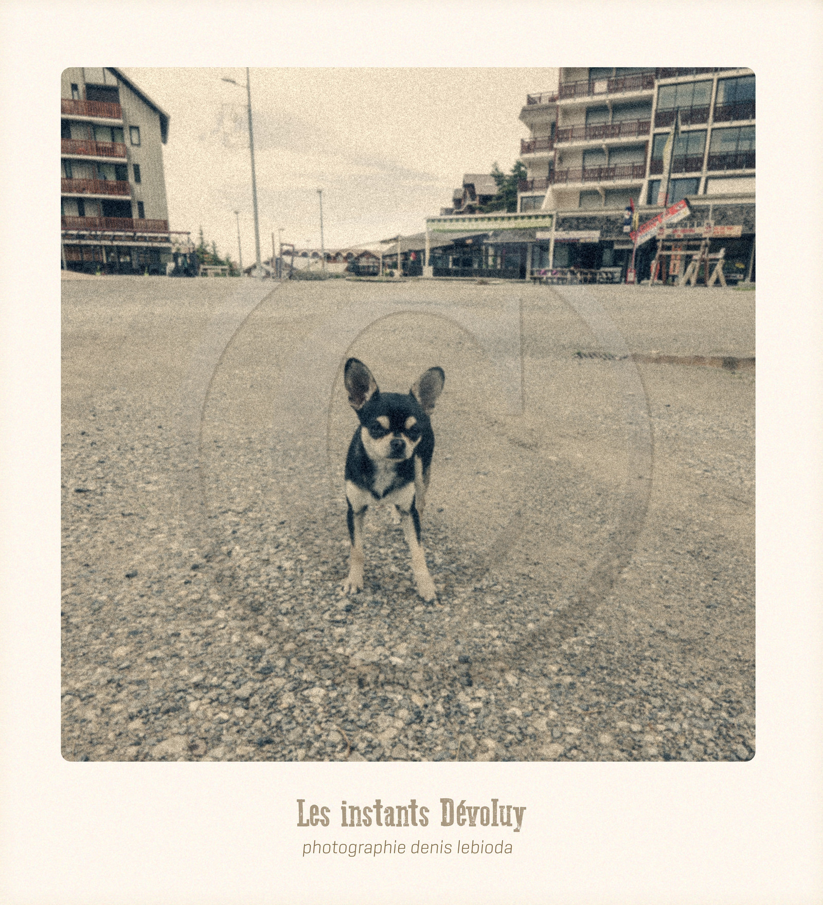 Les Instants Dévoluy