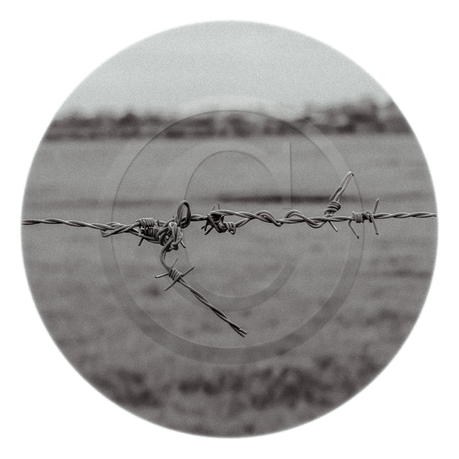 Les instants Camargue