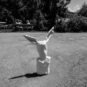 Animations au jardin