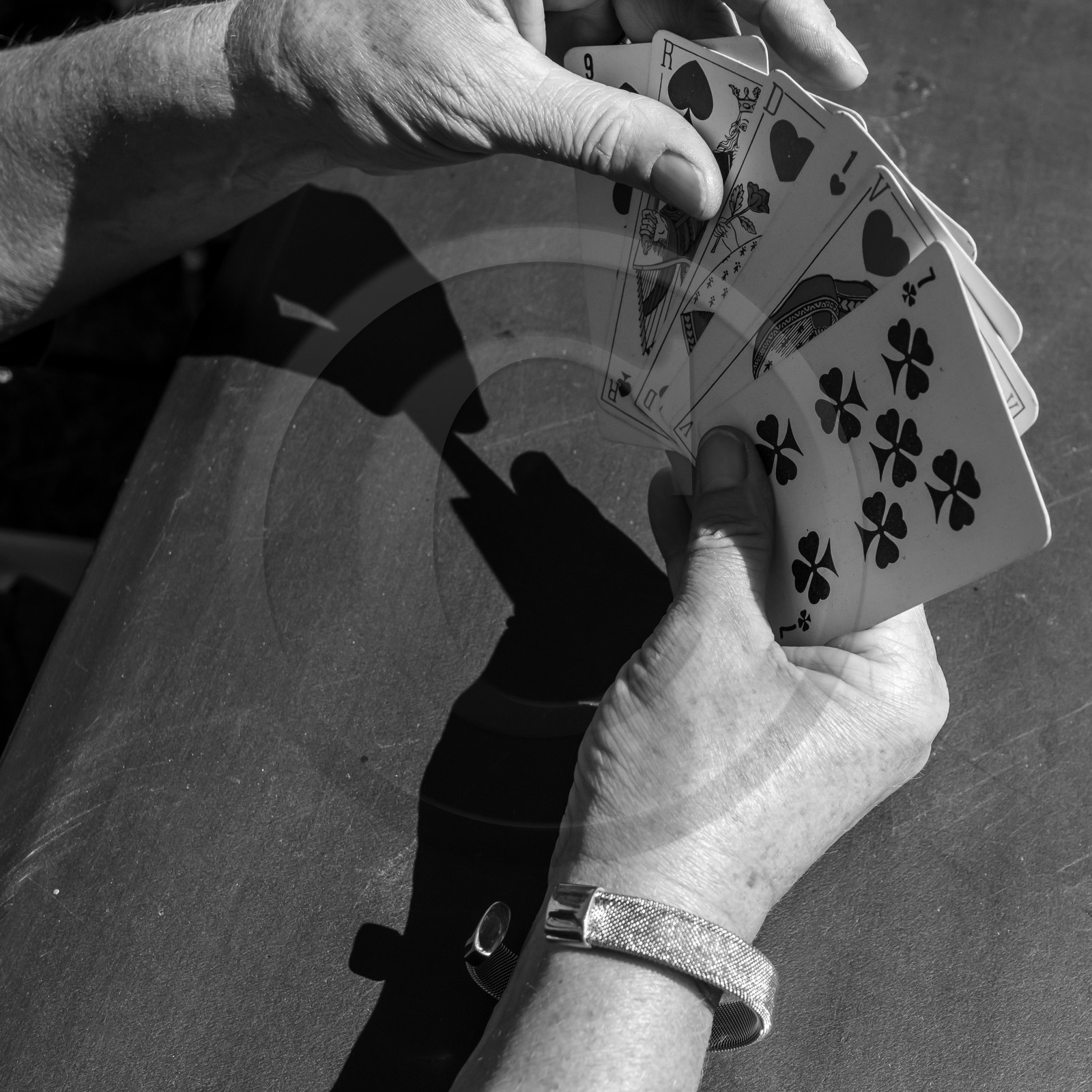 Activités au jardin