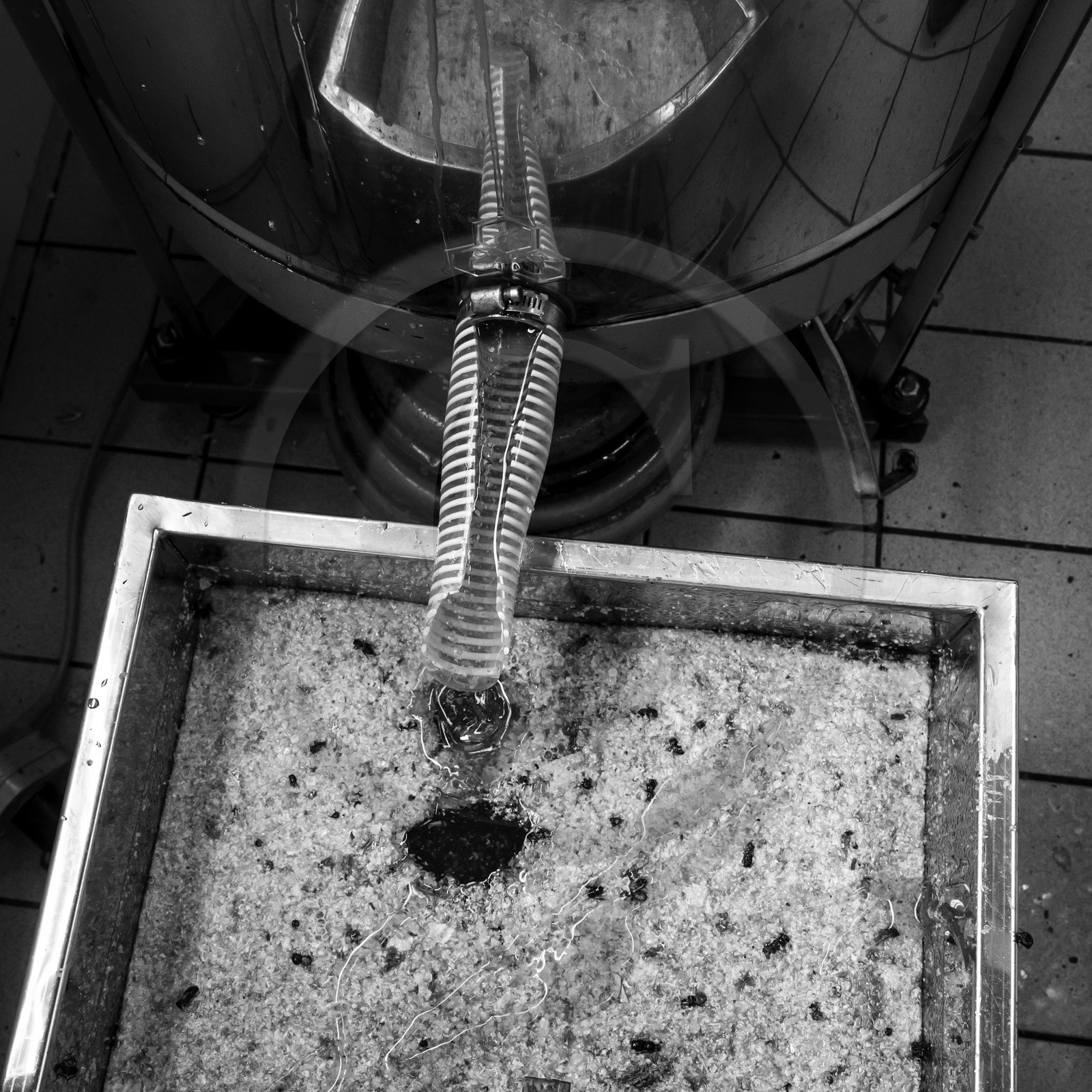 L'extraction du miel