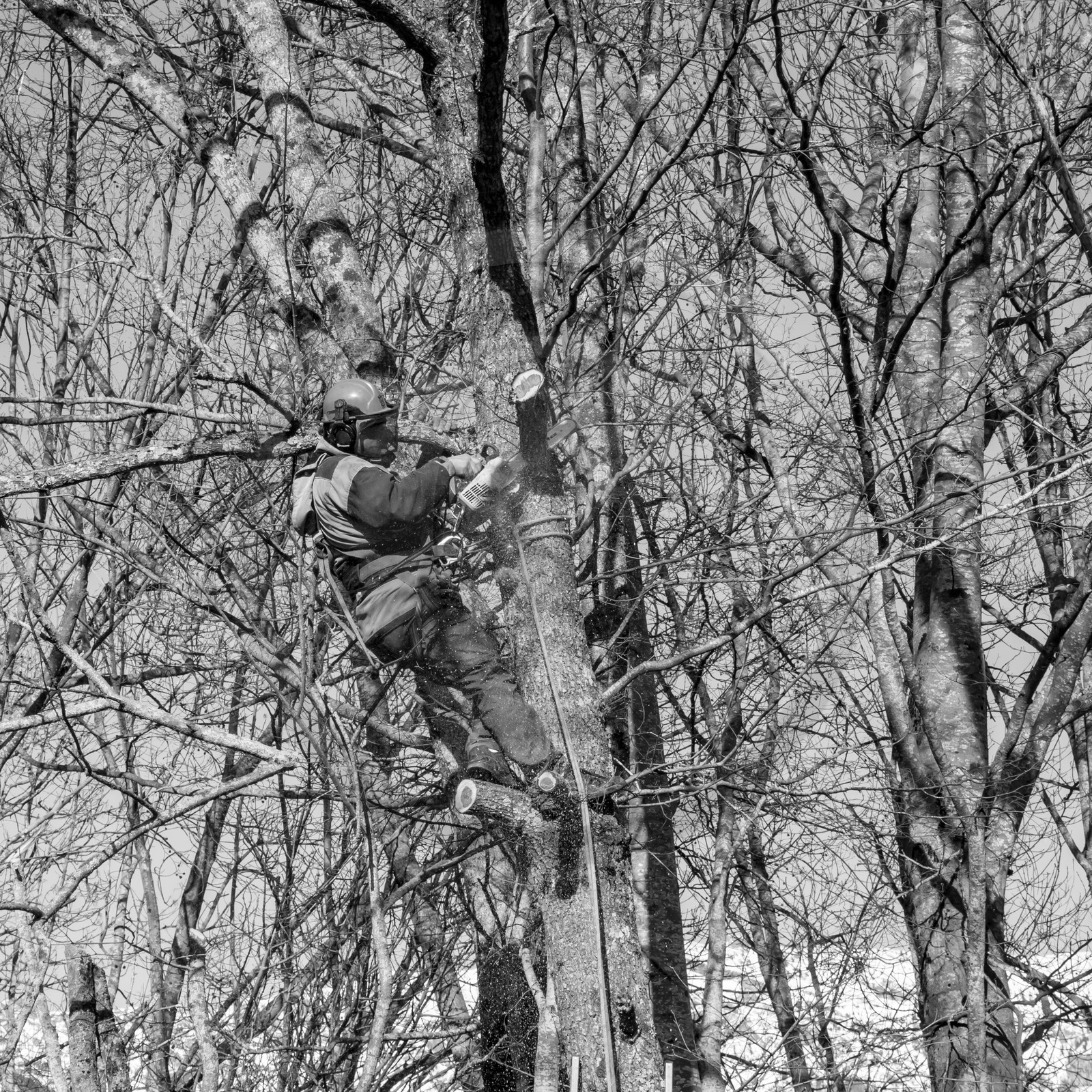 L'Ouort de Bénévent - 08 mars 2017