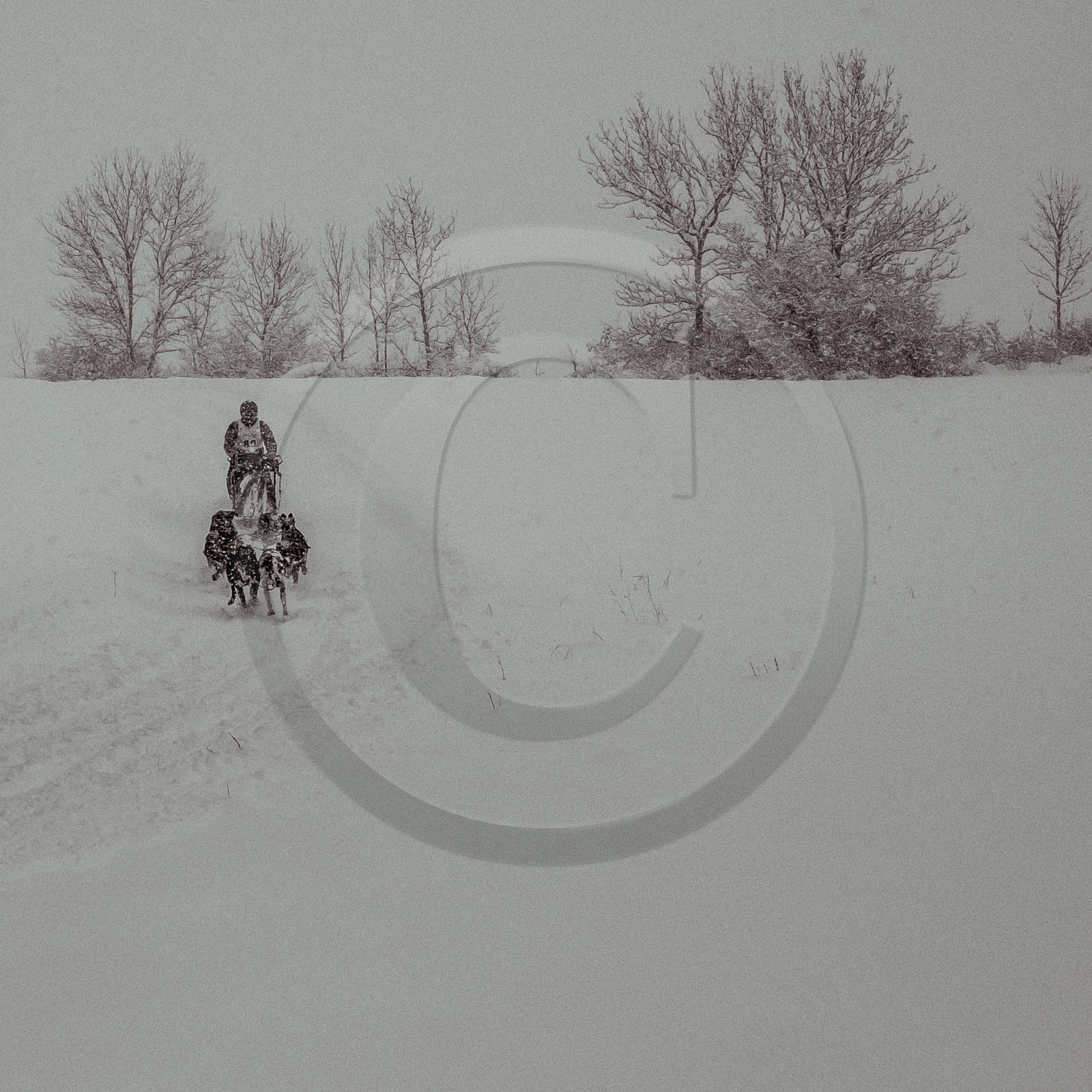 La Valgaude Traineau 2015