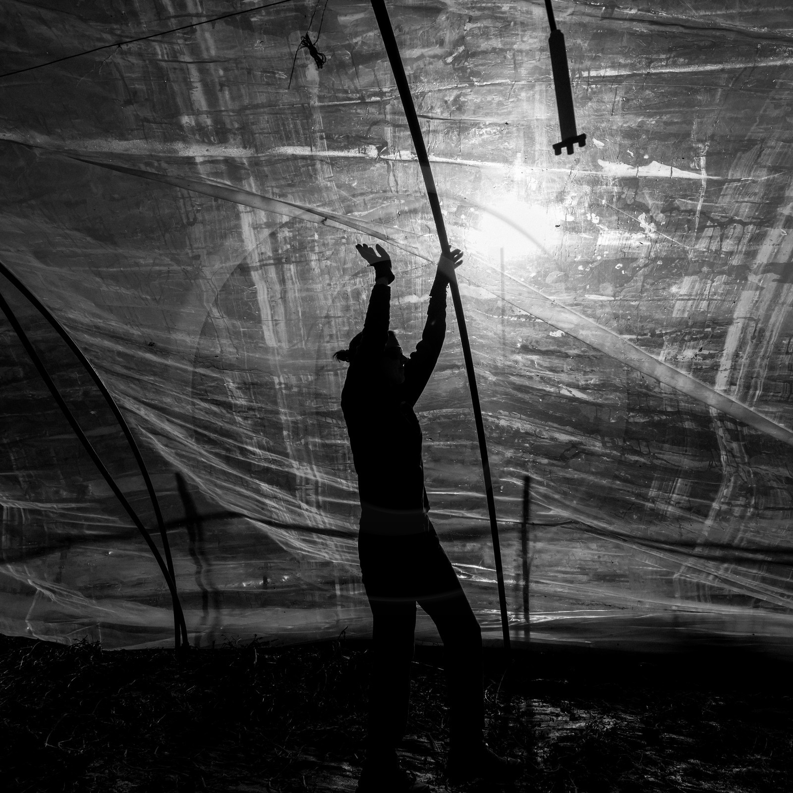 Montage de serres tunnel